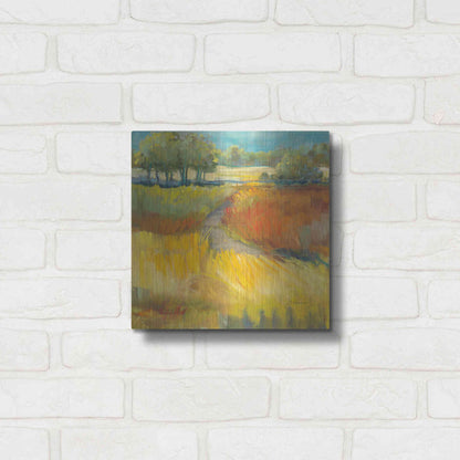 Luxe Metal Art 'Late Summer Landscape II' by Carol Rowan, Metal Wall Art,12x12