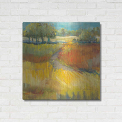 Luxe Metal Art 'Late Summer Landscape II' by Carol Rowan, Metal Wall Art,36x36