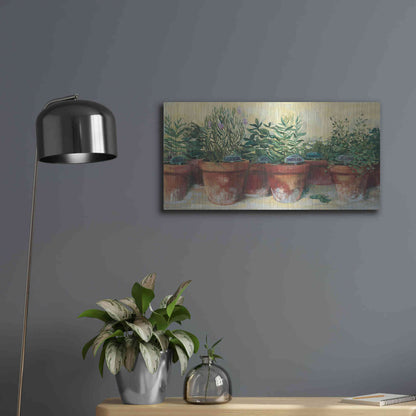 Luxe Metal Art 'Potted Herbs I' by Carol Rowan, Metal Wall Art,24x12