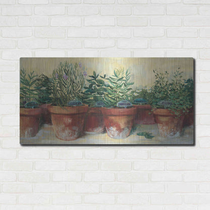 Luxe Metal Art 'Potted Herbs I' by Carol Rowan, Metal Wall Art,48x24