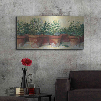 Luxe Metal Art 'Potted Herbs I' by Carol Rowan, Metal Wall Art,48x24