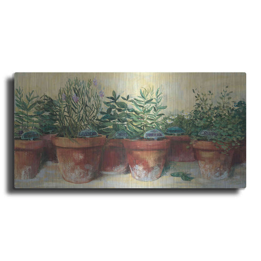Luxe Metal Art 'Potted Herbs I' by Carol Rowan, Metal Wall Art