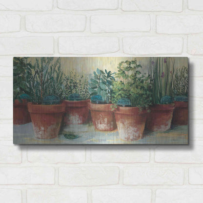 Luxe Metal Art 'Potted Herbs II' by Carol Rowan, Metal Wall Art,24x12