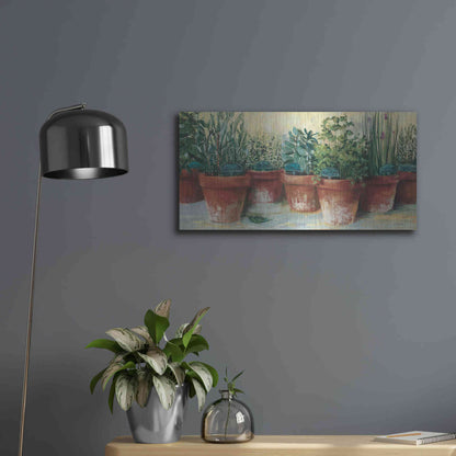 Luxe Metal Art 'Potted Herbs II' by Carol Rowan, Metal Wall Art,24x12