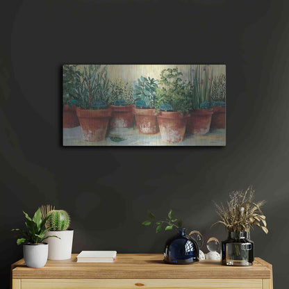 Luxe Metal Art 'Potted Herbs II' by Carol Rowan, Metal Wall Art,24x12