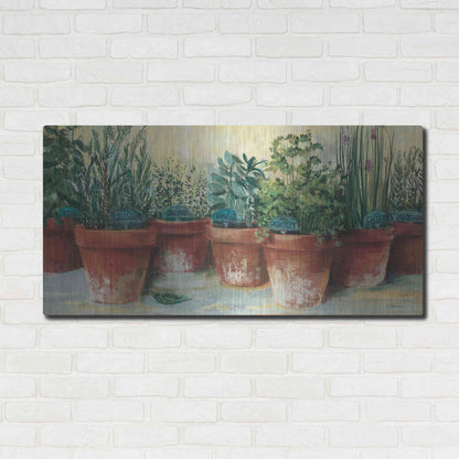 Luxe Metal Art 'Potted Herbs II' by Carol Rowan, Metal Wall Art,48x24