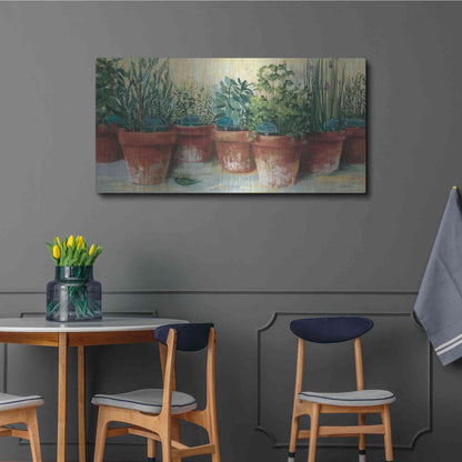 Luxe Metal Art 'Potted Herbs II' by Carol Rowan, Metal Wall Art,48x24