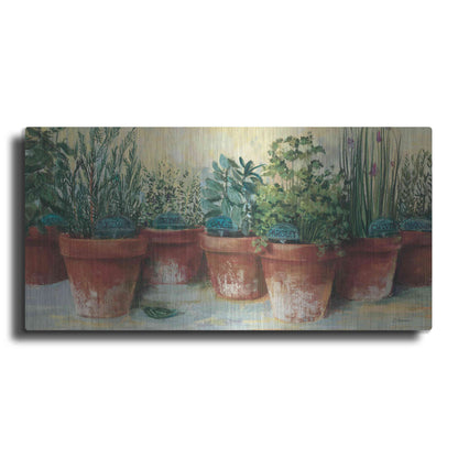 Luxe Metal Art 'Potted Herbs II' by Carol Rowan, Metal Wall Art