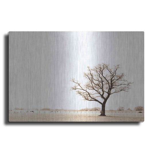 Luxe Metal Art 'Bleached Bones Of Winter' by Keri Bevan, Metal Wall Art