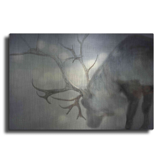 Luxe Metal Art 'If On A Winters Night' by Keri Bevan, Metal Wall Art