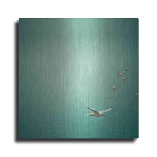 Luxe Metal Art 'Soul Birds' by Keri Bevan, Metal Wall Art