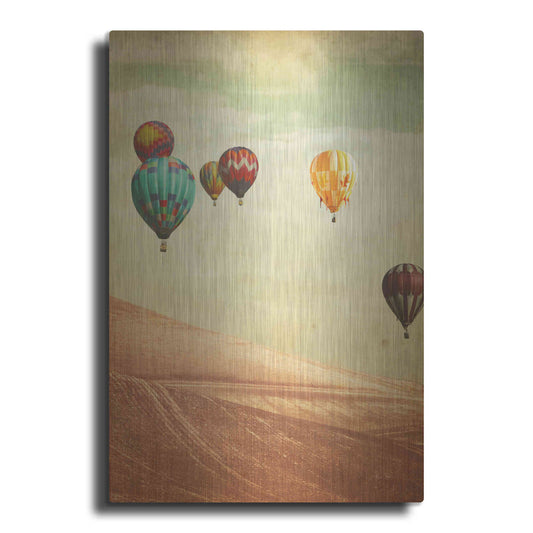 Luxe Metal Art 'Wanderers' by Keri Bevan, Metal Wall Art
