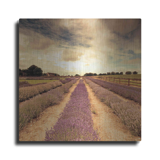 Luxe Metal Art 'Lavender Fields Forever' by Keri Bevan, Metal Wall Art