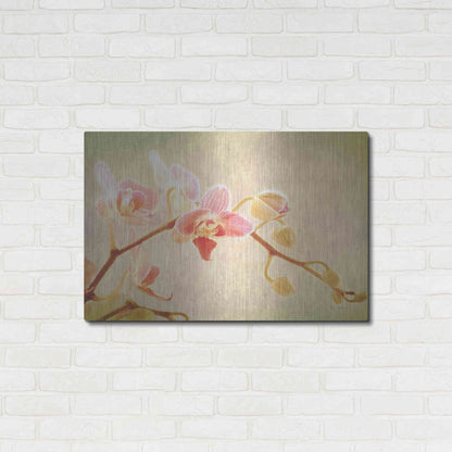 Luxe Metal Art 'Perfume' by Keri Bevan, Metal Wall Art,36x24