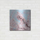 Luxe Metal Art 'Cherry Blossom Clouds' by Keri Bevan, Metal Wall Art,24x24