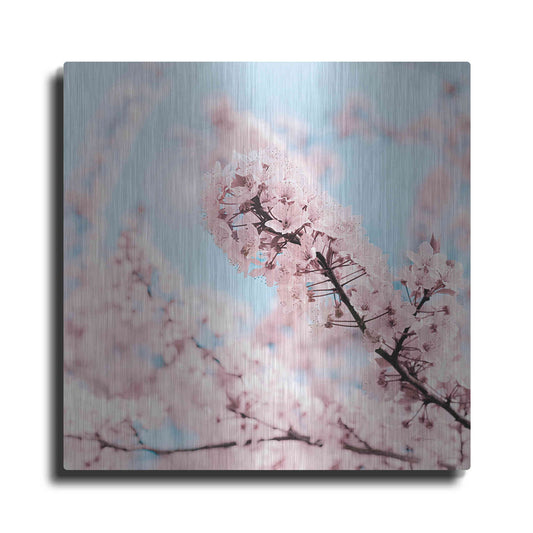 Luxe Metal Art 'Cherry Blossom Clouds' by Keri Bevan, Metal Wall Art