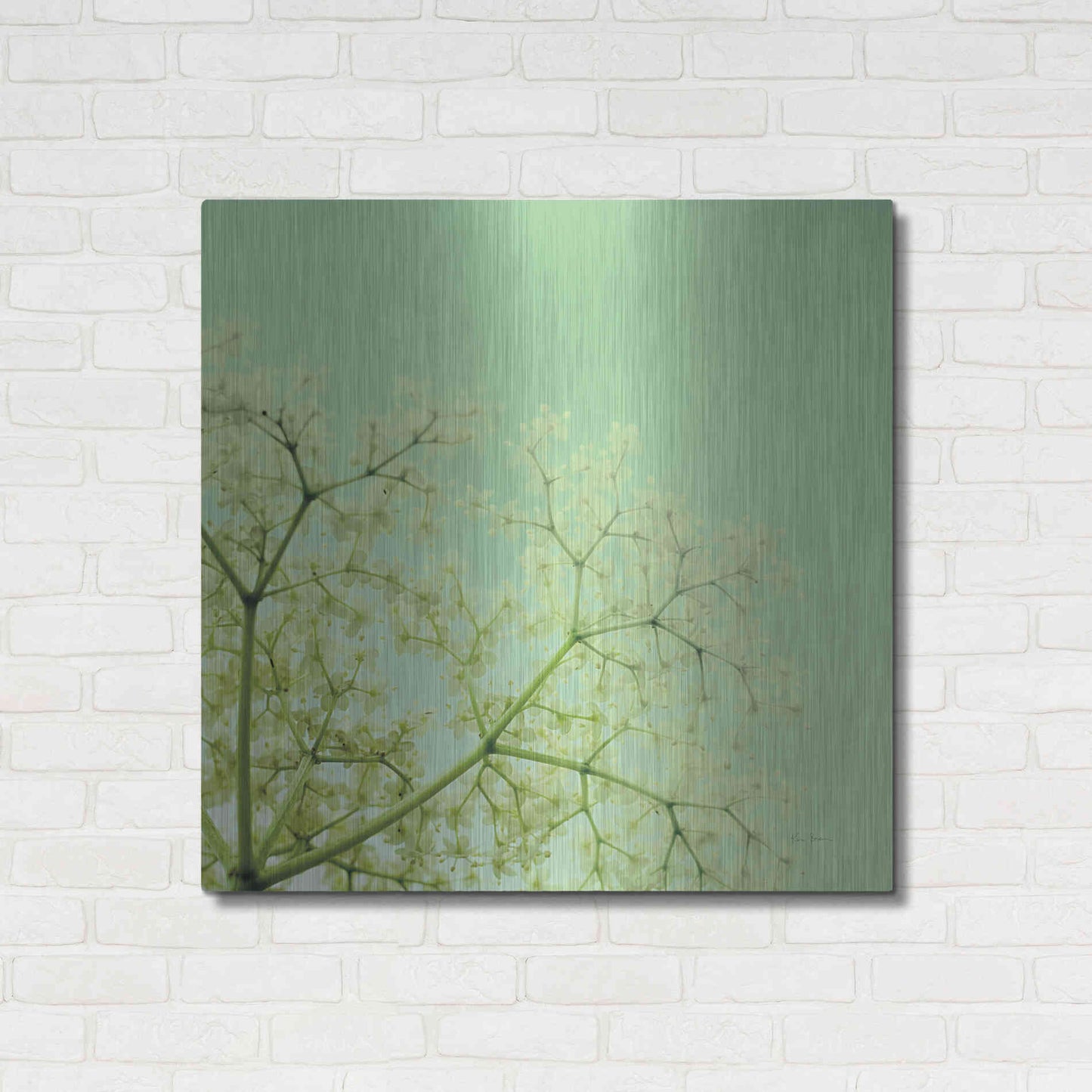 Luxe Metal Art 'Cuckoo Flowers' by Keri Bevan, Metal Wall Art,36x36