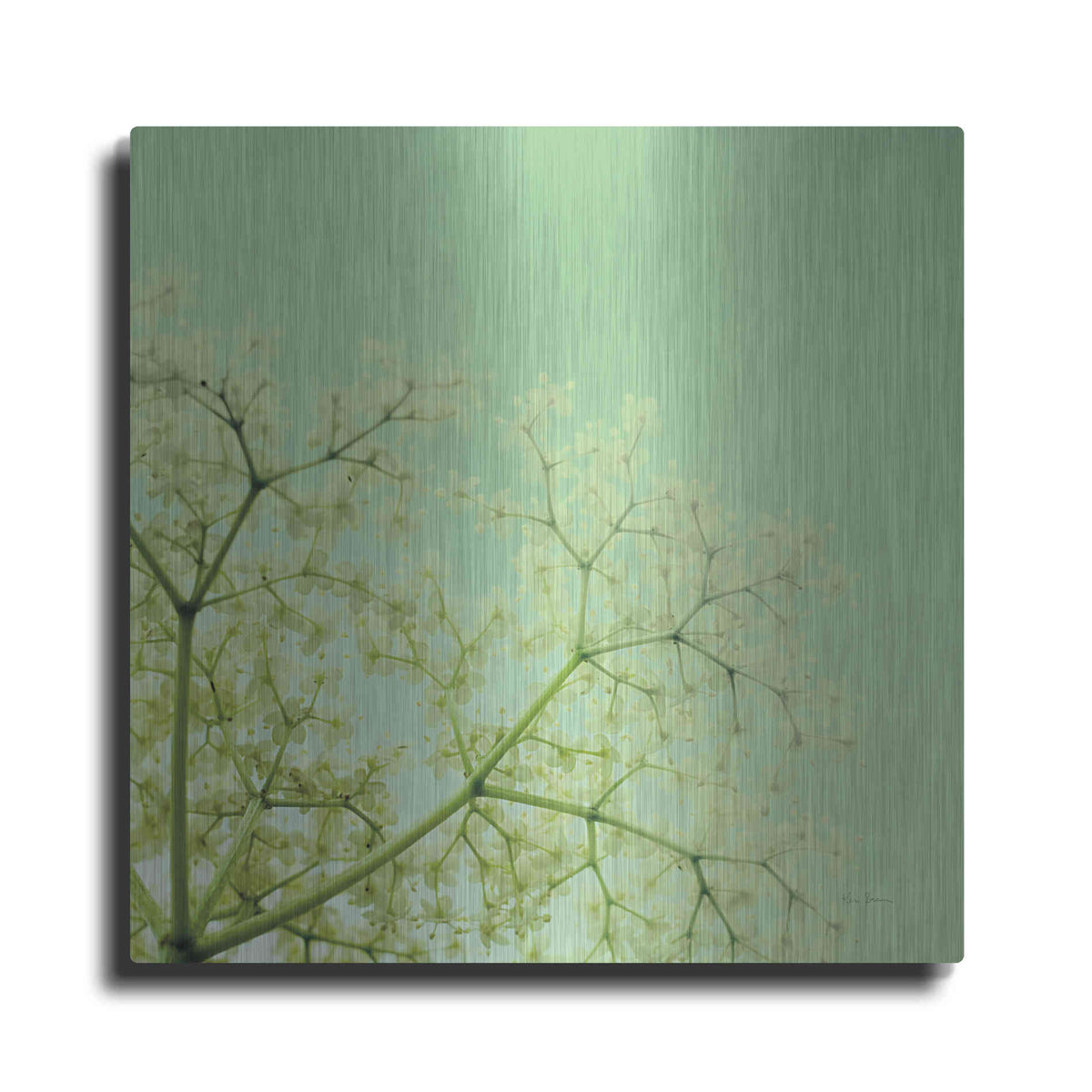 Luxe Metal Art 'Cuckoo Flowers' by Keri Bevan, Metal Wall Art