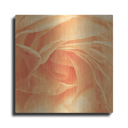 Luxe Metal Art 'Georgia' by Keri Bevan, Metal Wall Art