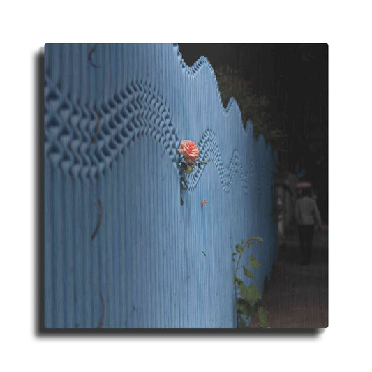 Luxe Metal Art 'Rose On Pentonville' by Keri Bevan, Metal Wall Art