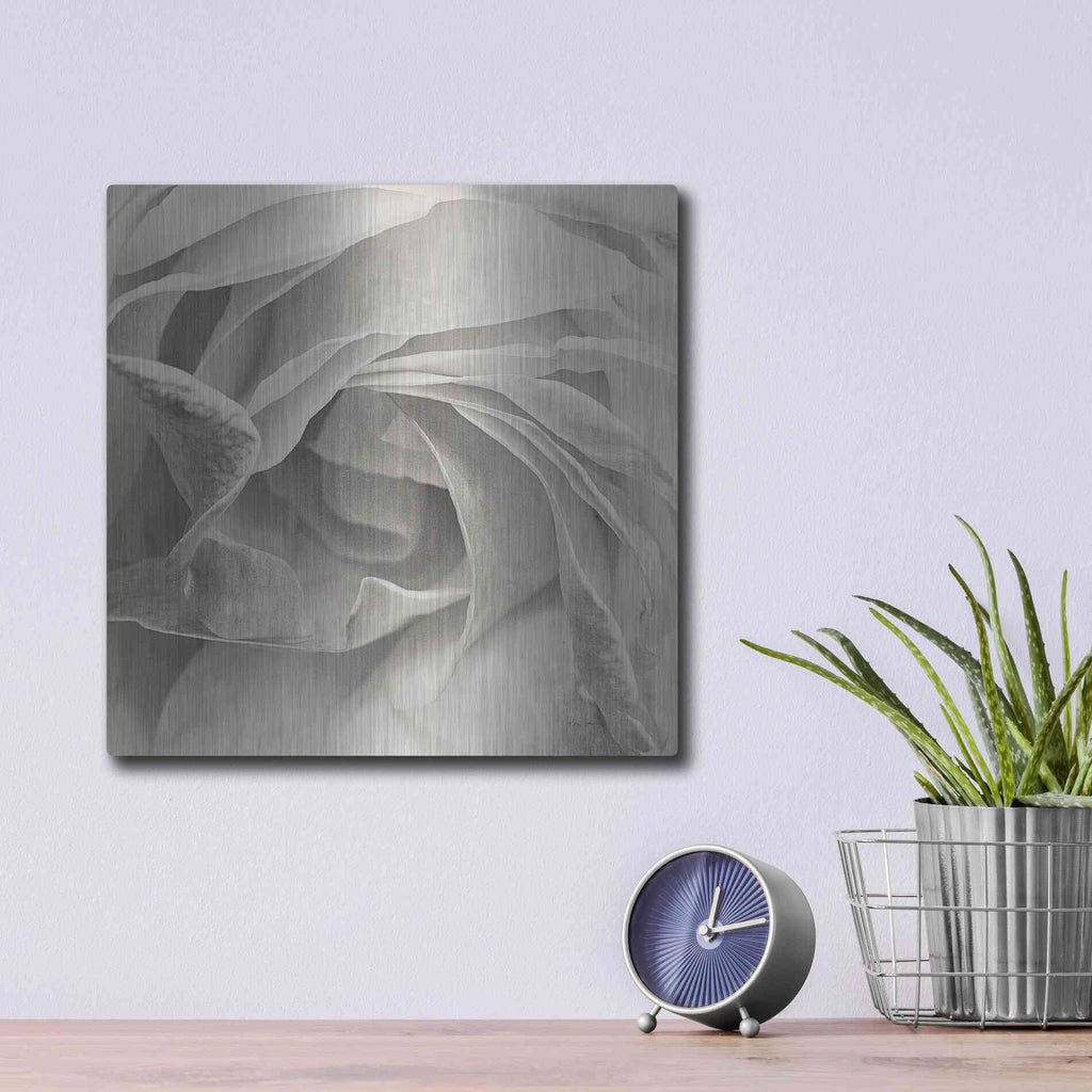 Luxe Metal Art 'Georgia Bw' by Keri Bevan, Metal Wall Art,12x12