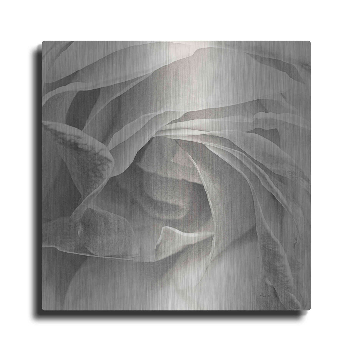 Luxe Metal Art 'Georgia Bw' by Keri Bevan, Metal Wall Art