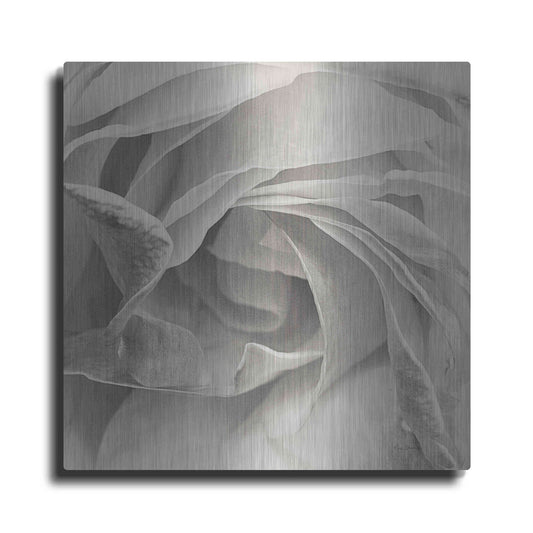 Luxe Metal Art 'Georgia Bw' by Keri Bevan, Metal Wall Art
