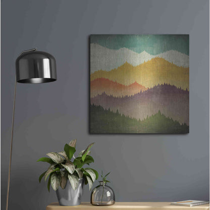 Luxe Metal Art 'Mountain View' by Ryan Fowler, Metal Wall Art,24x24