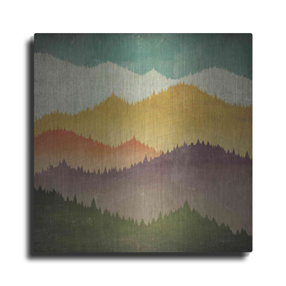 Luxe Metal Art 'Mountain View' by Ryan Fowler, Metal Wall Art