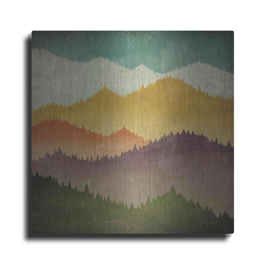 Luxe Metal Art 'Mountain View' by Ryan Fowler, Metal Wall Art