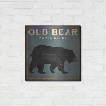 Luxe Metal Art 'Old Bear' by Ryan Fowler, Metal Wall Art,24x24