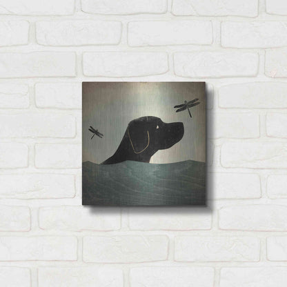 Luxe Metal Art 'Black Dog Swim' by Ryan Fowler, Metal Wall Art,12x12
