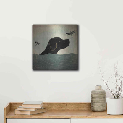 Luxe Metal Art 'Black Dog Swim' by Ryan Fowler, Metal Wall Art,12x12