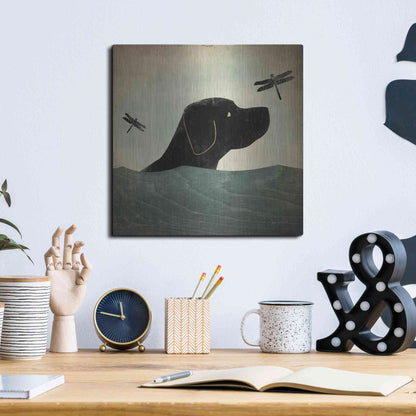 Luxe Metal Art 'Black Dog Swim' by Ryan Fowler, Metal Wall Art,12x12