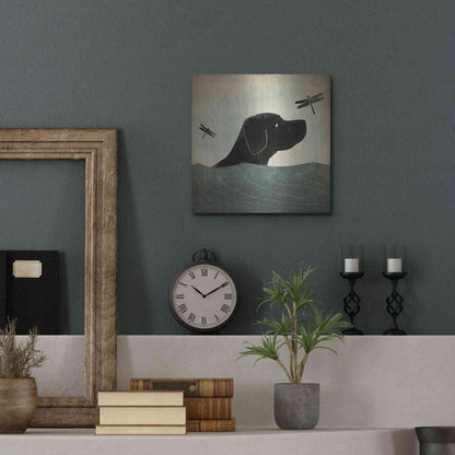 Luxe Metal Art 'Black Dog Swim' by Ryan Fowler, Metal Wall Art,12x12