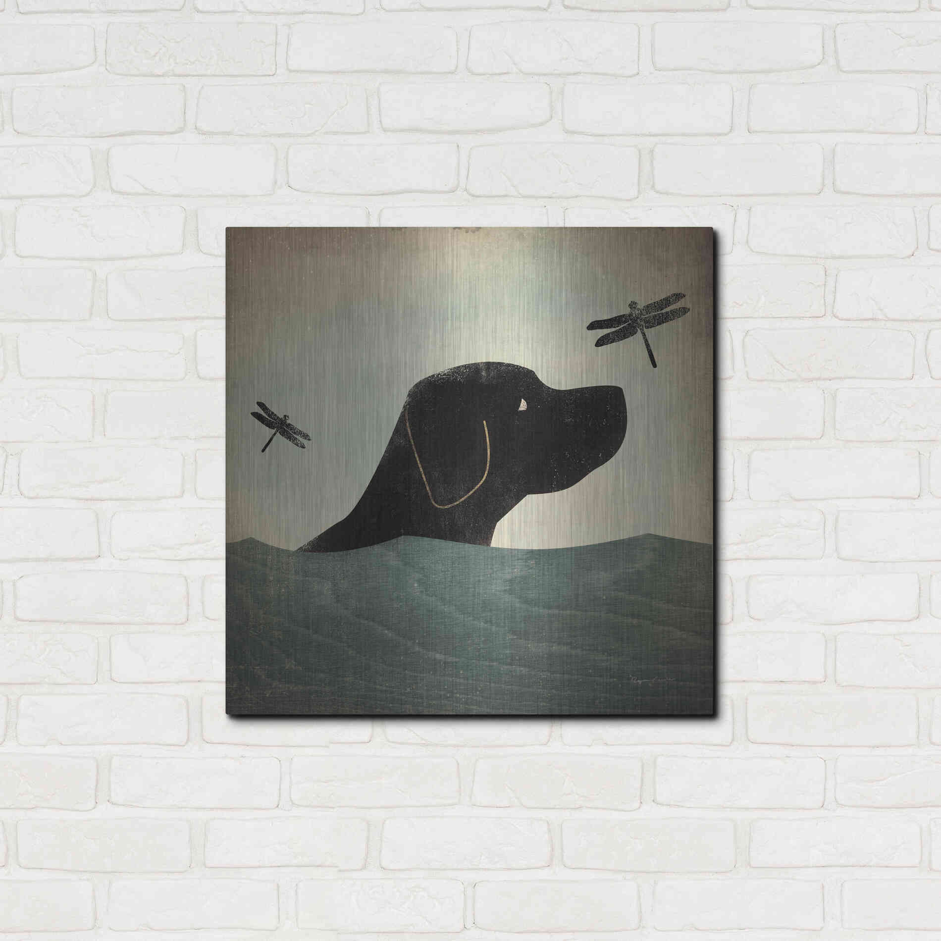 Luxe Metal Art 'Black Dog Swim' by Ryan Fowler, Metal Wall Art,24x24