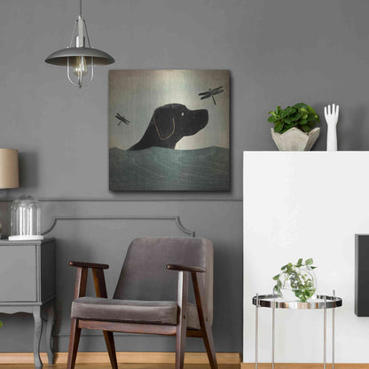Luxe Metal Art 'Black Dog Swim' by Ryan Fowler, Metal Wall Art,24x24