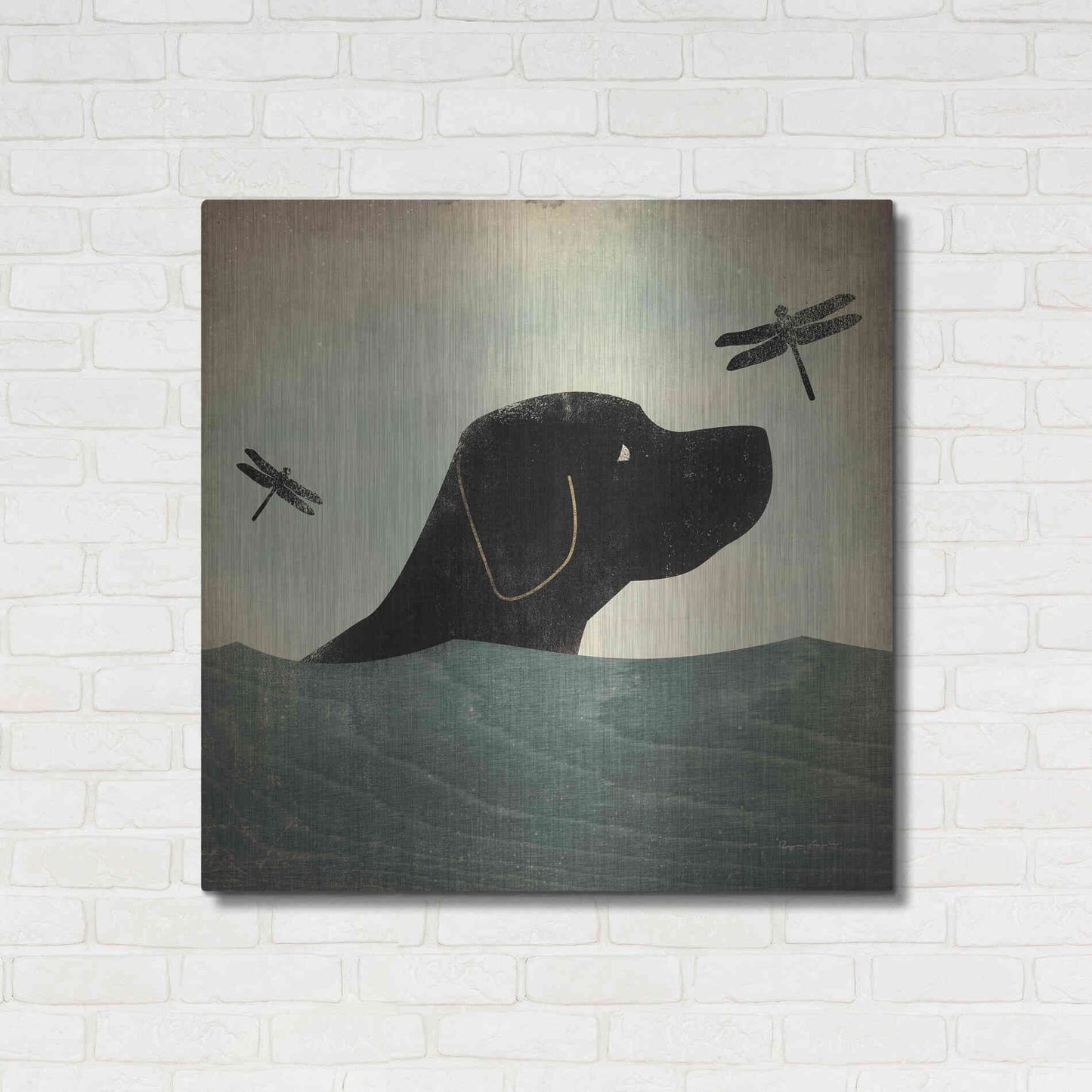 Luxe Metal Art 'Black Dog Swim' by Ryan Fowler, Metal Wall Art,36x36
