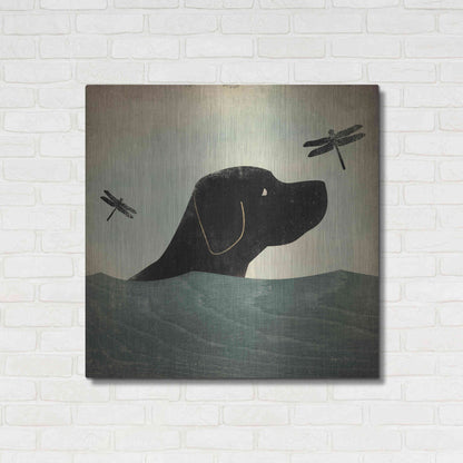 Luxe Metal Art 'Black Dog Swim' by Ryan Fowler, Metal Wall Art,36x36