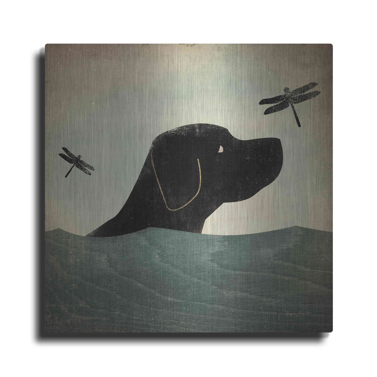 Luxe Metal Art 'Black Dog Swim' by Ryan Fowler, Metal Wall Art