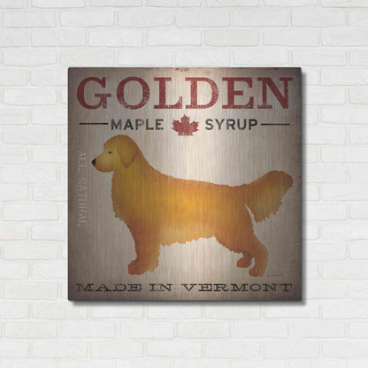 Luxe Metal Art 'Golden Dog At Show' by Ryan Fowler, Metal Wall Art,36x36