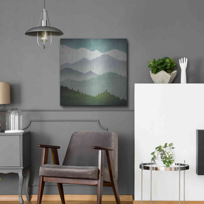 Luxe Metal Art 'First Snow' by Ryan Fowler, Metal Wall Art,24x24