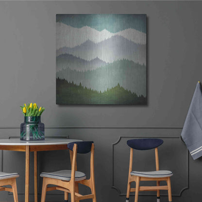 Luxe Metal Art 'First Snow' by Ryan Fowler, Metal Wall Art,36x36