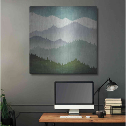 Luxe Metal Art 'First Snow' by Ryan Fowler, Metal Wall Art,36x36