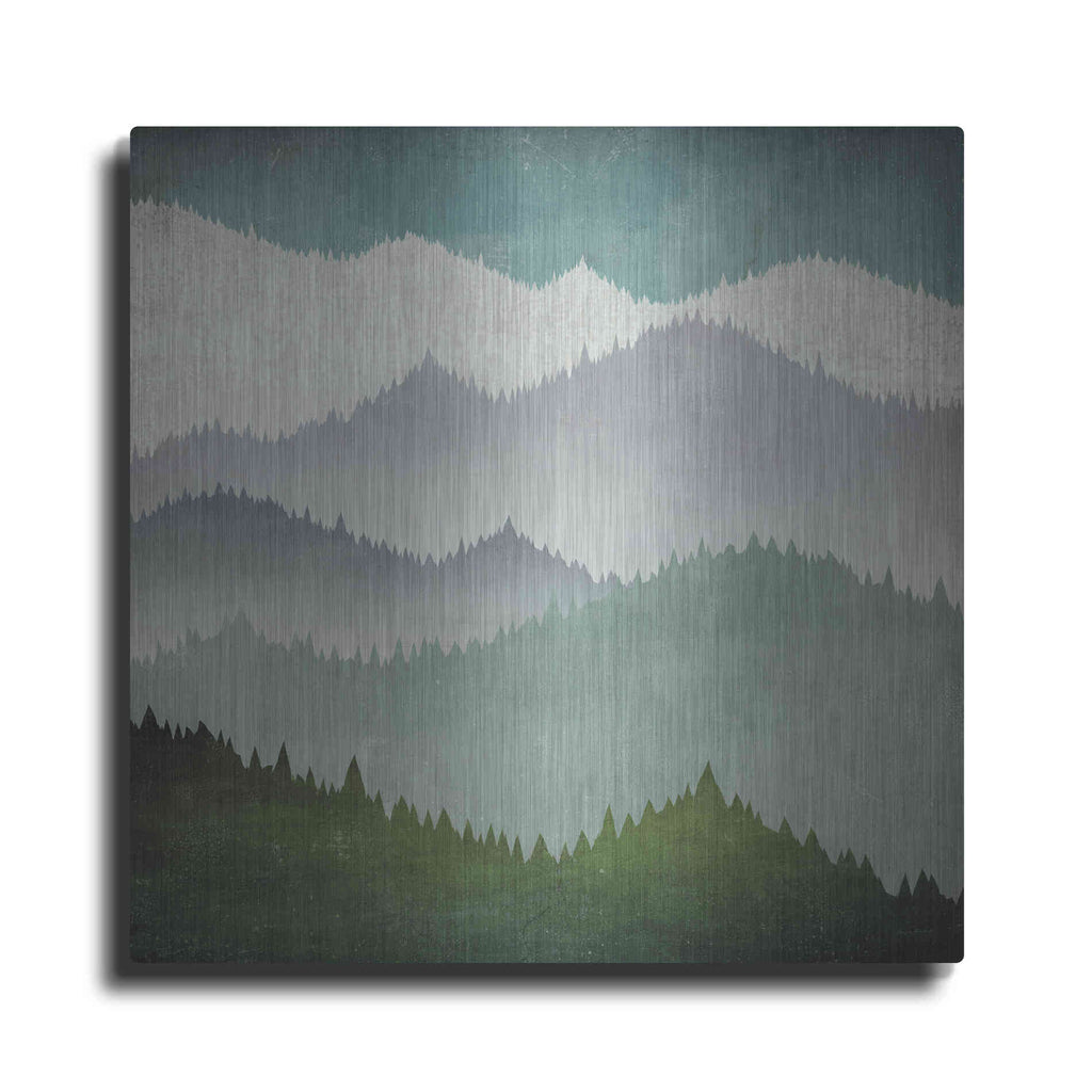 Luxe Metal Art 'First Snow' by Ryan Fowler, Metal Wall Art