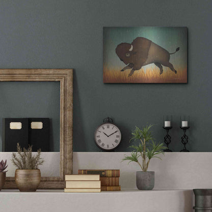 Luxe Metal Art 'Buffalo Bison II' by Ryan Fowler, Metal Wall Art,16x12