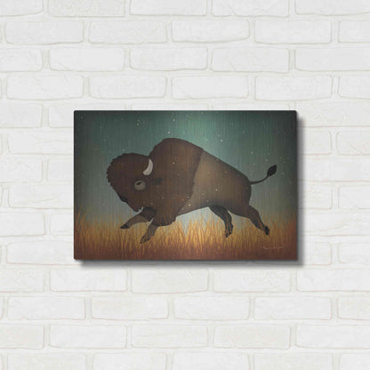 Luxe Metal Art 'Buffalo Bison II' by Ryan Fowler, Metal Wall Art,24x16
