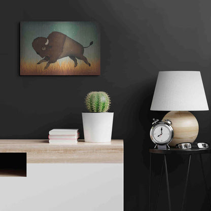 Luxe Metal Art 'Buffalo Bison II' by Ryan Fowler, Metal Wall Art,24x16