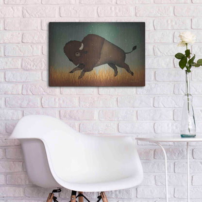Luxe Metal Art 'Buffalo Bison II' by Ryan Fowler, Metal Wall Art,24x16