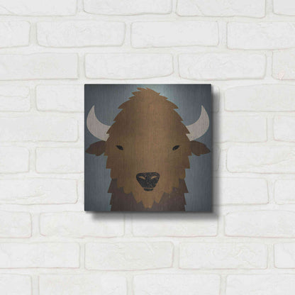 Luxe Metal Art 'Buffalo II' by Ryan Fowler, Metal Wall Art,12x12